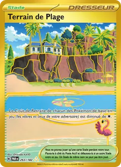 Terrain de Plage 263/182 — Paradox Rift