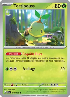 Tortipouss 010/162 — Temporal Forces