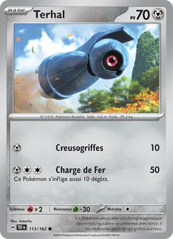 Terhal 113/162 — Temporal Forces