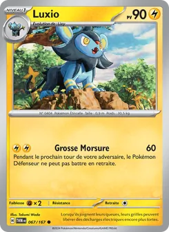 Luxio 067/167 — Twilight Masquerade