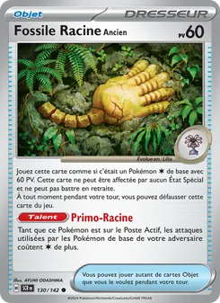 Fossile Racine Ancien 130/142 — Stellar Crown