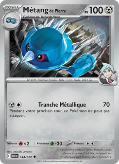 Métang de Pierre 144/182 — Destined Rivals