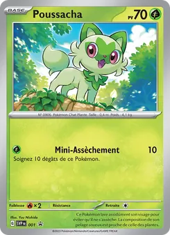 Poussacha 001/225 — SVP Black Star Promos