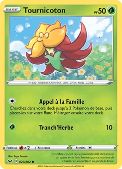 Tournicoton 20/202 — Sword & Shield