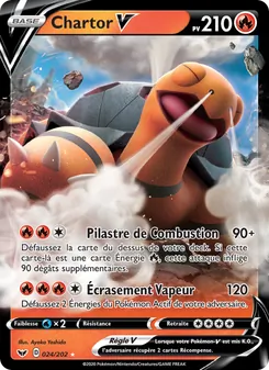 Chartor V 24/202 — Sword & Shield