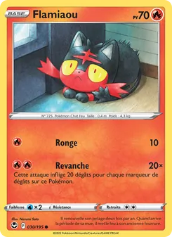Flamiaou 030/195 — Silver Tempest / Silver Tempest Trainer Gallery
