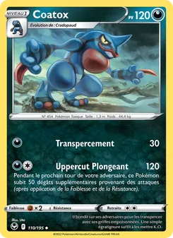 Coatox 110/195 — Silver Tempest / Silver Tempest Trainer Gallery