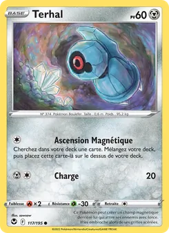 Terhal 117/195 — Silver Tempest / Silver Tempest Trainer Gallery