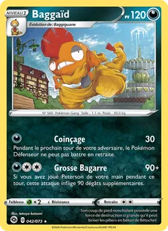 Baggaïd 42/73 — Champion's Path