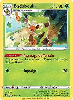 Badabouin 12/72 — Shining Fates / Shining Fates Shiny Vault