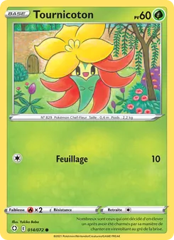 Tournicoton 14/72 — Shining Fates / Shining Fates Shiny Vault
