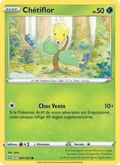 Chétiflor 1/163 — Battle Styles