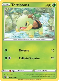 Tortipouss 006/172 — Brilliant Stars / Brilliant Stars Trainer Gallery