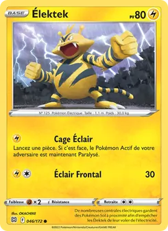 Élektek 046/172 — Brilliant Stars / Brilliant Stars Trainer Gallery