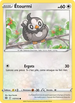 Étourmi 117/172 — Brilliant Stars / Brilliant Stars Trainer Gallery