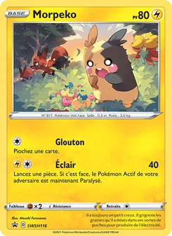 Morpeko SWSH116 — SWSH Black Star Promos