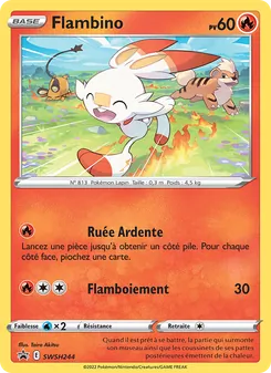Flambino SWSH244 — SWSH Black Star Promos