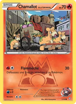Chamallot de la Team Magma 1/34 — Double Crisis