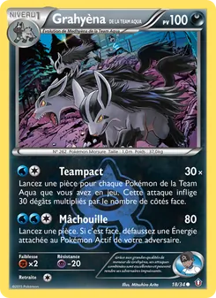 Grahyèna de la Team Aqua 18/34 — Double Crisis