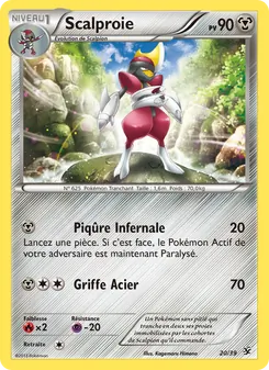 Scalproie 20/39 — Kalos Starter Set