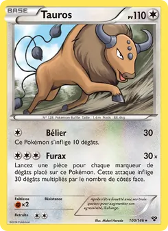 Tauros 100/146 — XY