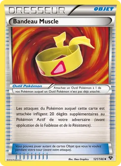 Bandeau Muscle 121/146 — XY