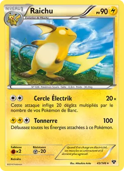 Raichu 43/146 — XY