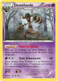 Desséliande 55/146 — XY