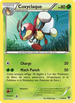 Coxyclaque 7/146 — XY