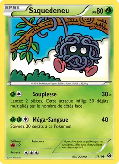 Saquedeneu 1/114 — Steam Siege