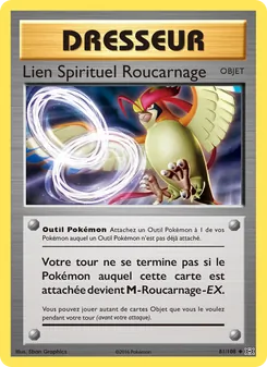 Lien Spirituel Roucarnage 81/108 — Evolutions