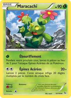 Maracachi 10/106 — Flashfire