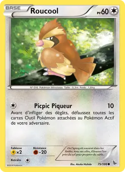 Roucool 75/106 — Flashfire