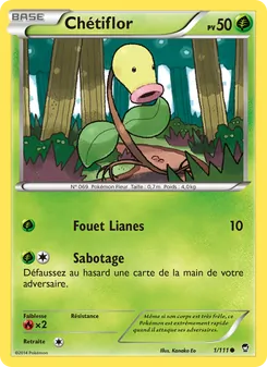 Chétiflor 1/111 — Furious Fists