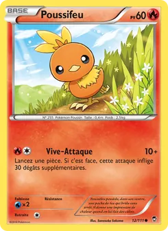 Poussifeu 12/111 — Furious Fists