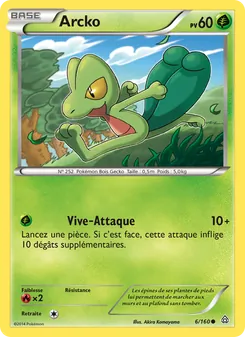 Arcko 6/160 — Primal Clash