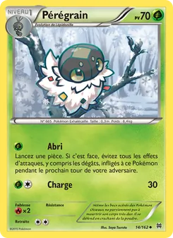 Pérégrain 14/162 — BREAKthrough