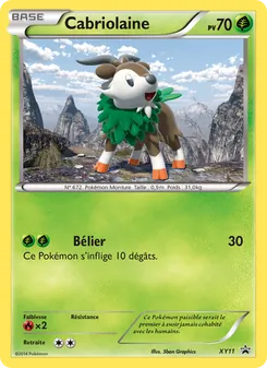 Cabriolaine XY11 — XY Black Star Promos