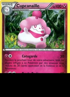 Cupcanaille XY15 — XY Black Star Promos