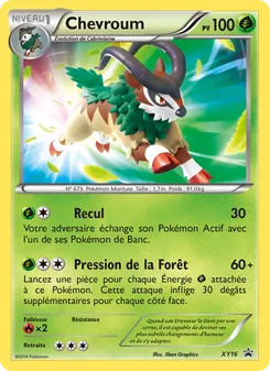 Chevroum XY16 — XY Black Star Promos