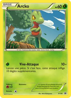 Arcko XY36 — XY Black Star Promos
