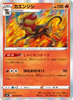カエンジシ 016/067 — バトルリージョン