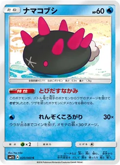 ナマコブシ 020/060 — コレクションサン