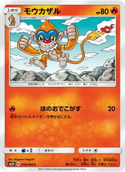 モウカザル 019/066 — ウルトラサン