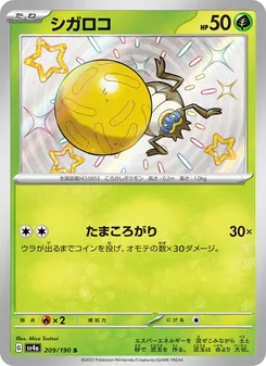 シガロコ 209/190 — レイジングサーフ