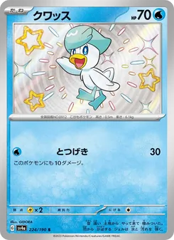 クワッス 224/190 — レイジングサーフ