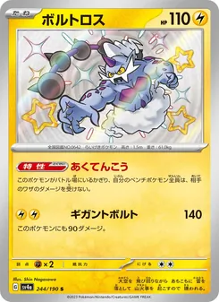 ボルトロス 244/190 — レイジングサーフ
