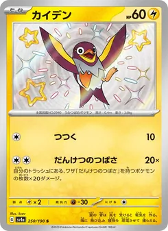 カイデン 250/190 — レイジングサーフ
