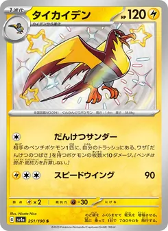 タイカイデン 251/190 — レイジングサーフ
