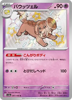 バウッツェル 267/190 — レイジングサーフ